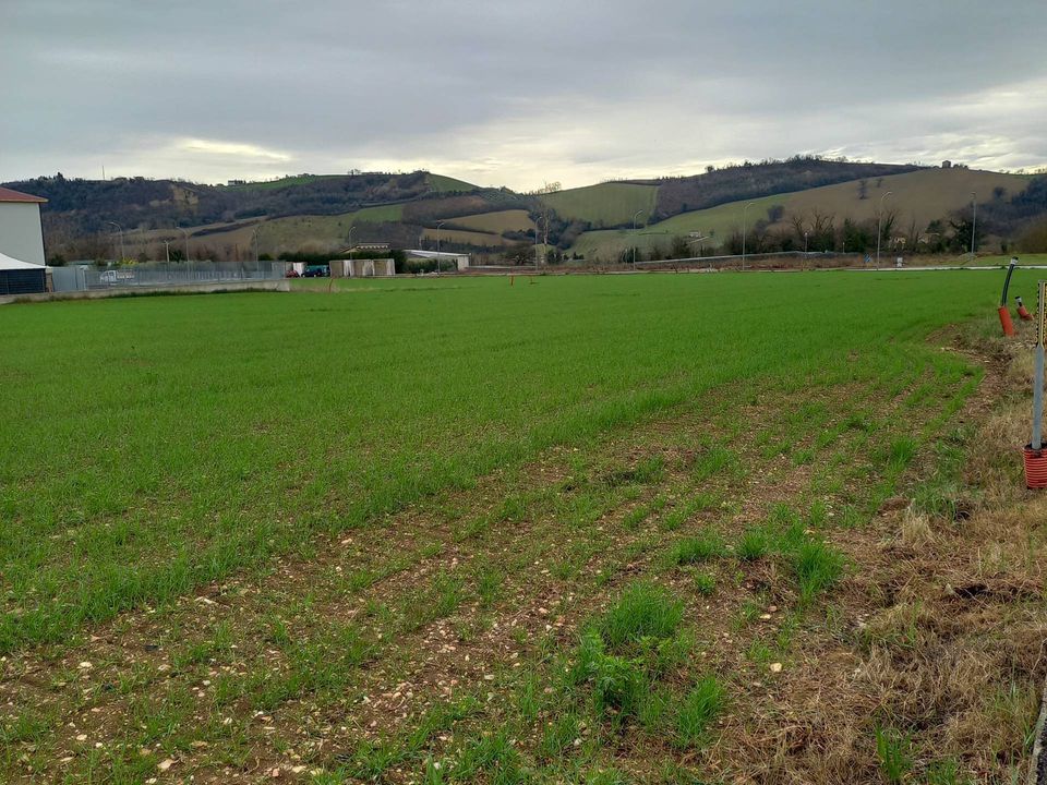 Helårsgrund i Falerone, Fermo - foto 4