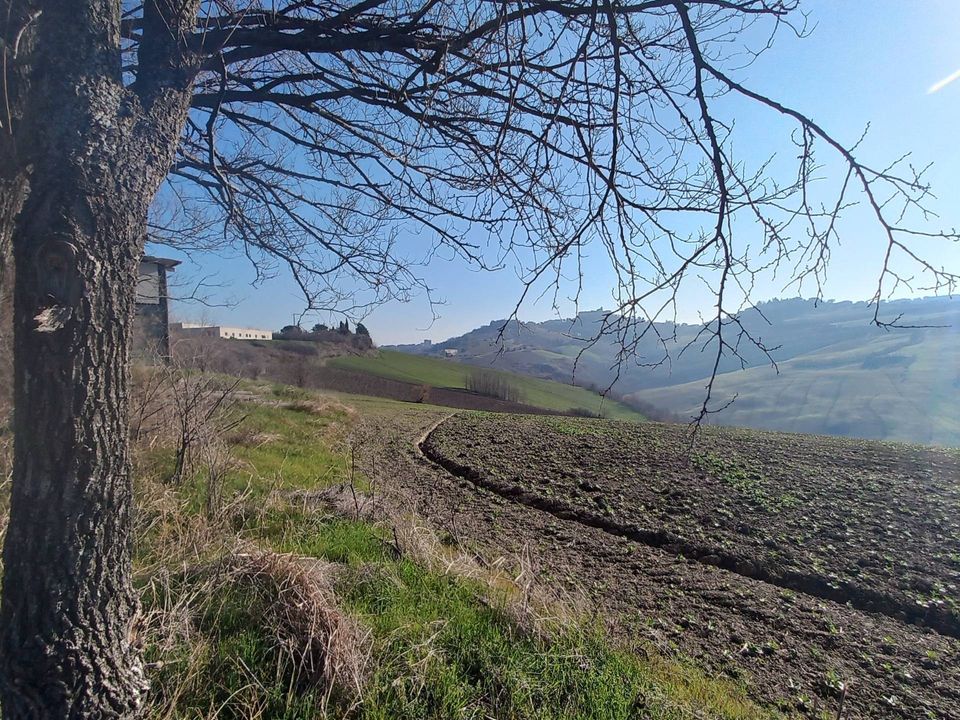 Villa a Montappone, Fermo - foto 4