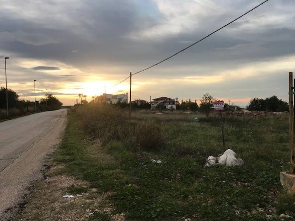 Helårsgrund i San Nicandro Garganico, Foggia - foto 2