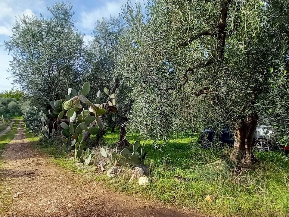 Helårsgrund i Ischitella, Foggia - foto 5