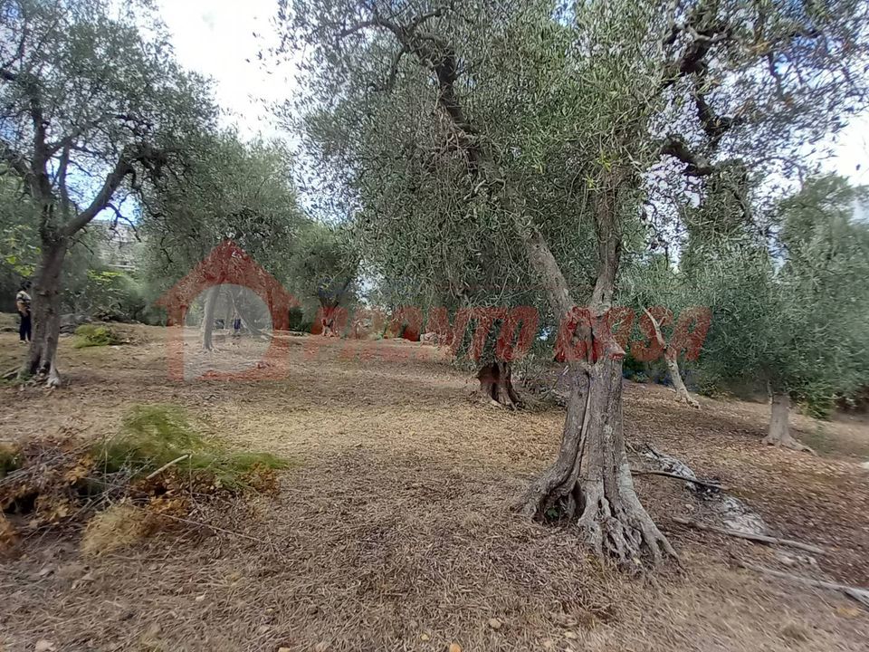 Helårsgrund i Ischitella, Foggia - foto 4