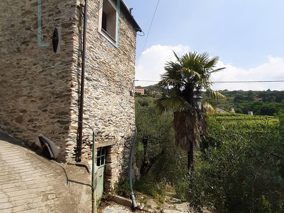 Landejendom i Ranzo, Imperia - foto 2