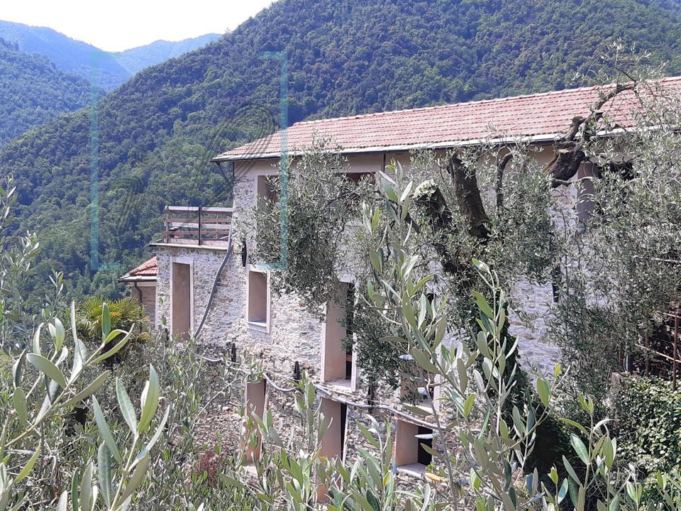 Landejendom i Ranzo, Imperia - foto 4