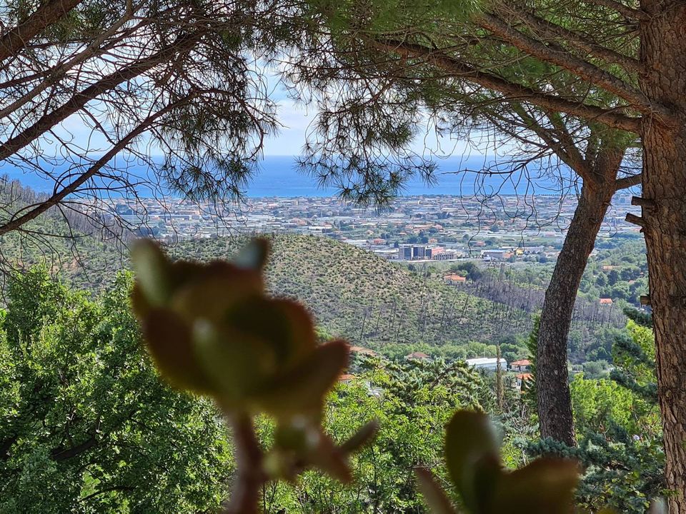 Villa i Cisano Sul Neva, Savona - foto 5