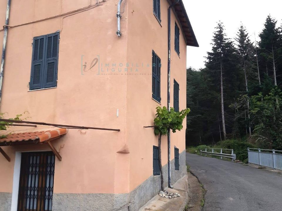 Landejendom i Borghetto D'Arroscia, Imperia - foto 4