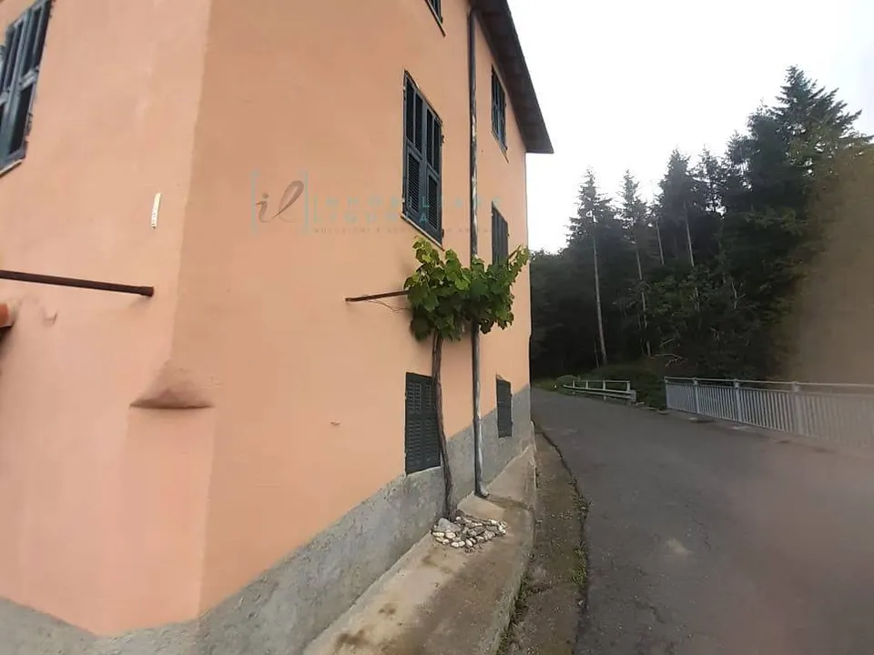 Landejendom i Borghetto D'Arroscia, Imperia - foto 3
