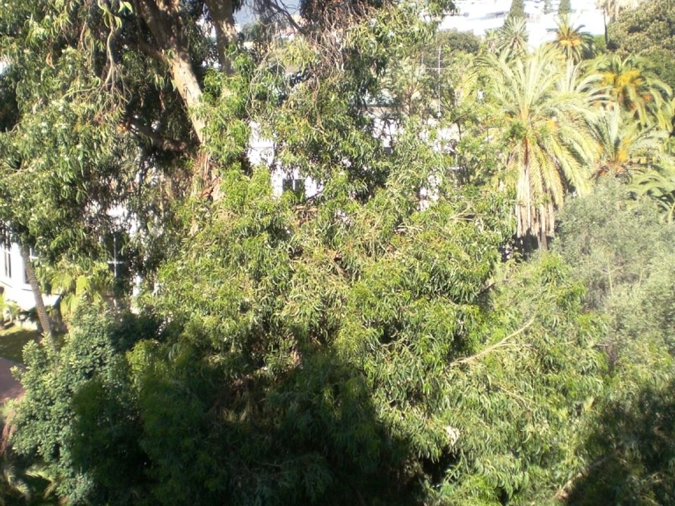 Lejlighed i Sanremo, Imperia - foto 3