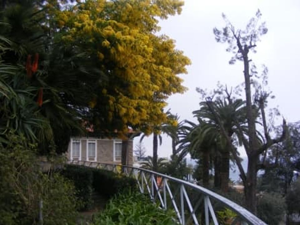 Lejlighed i Ospedaletti, Imperia - foto 1