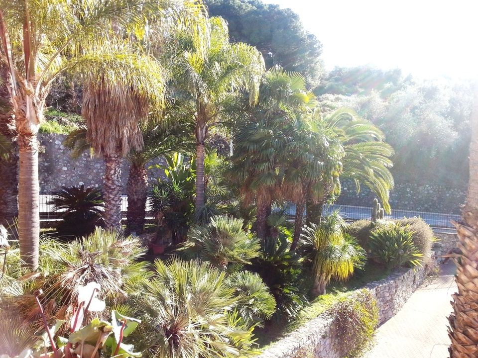 Villa i Bordighera, Imperia - foto 2