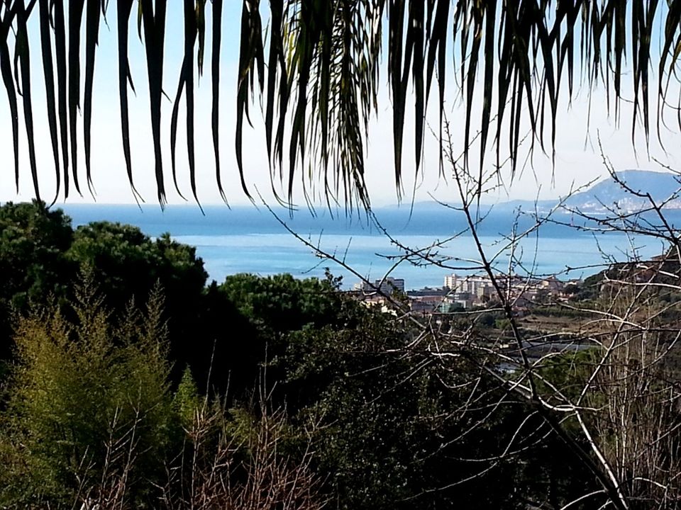 Villa i Bordighera, Imperia - foto 3