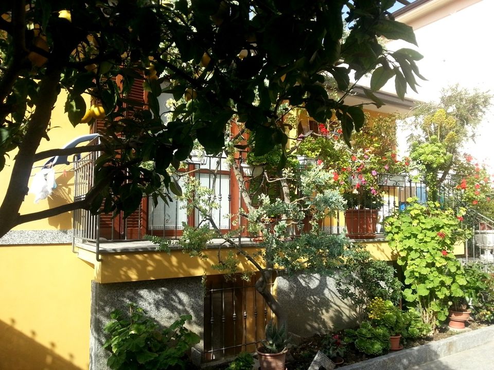 Villa i Bordighera, Imperia - foto 5