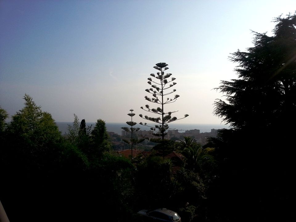 Villa i Bordighera, Imperia - foto 1
