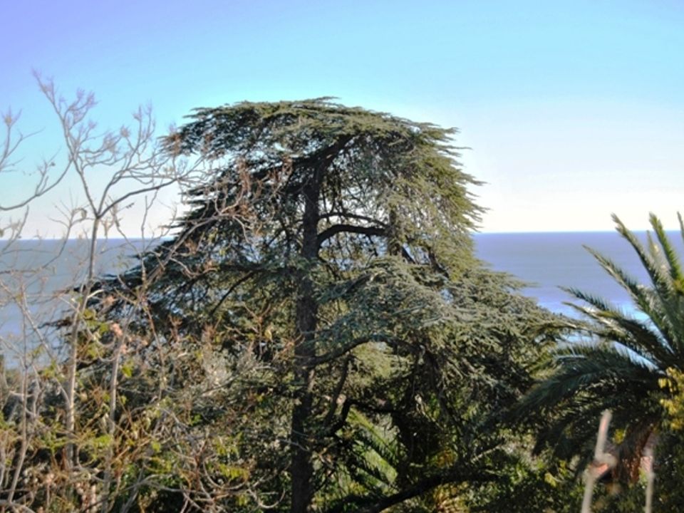 Villa i Alassio, Savona - foto 4