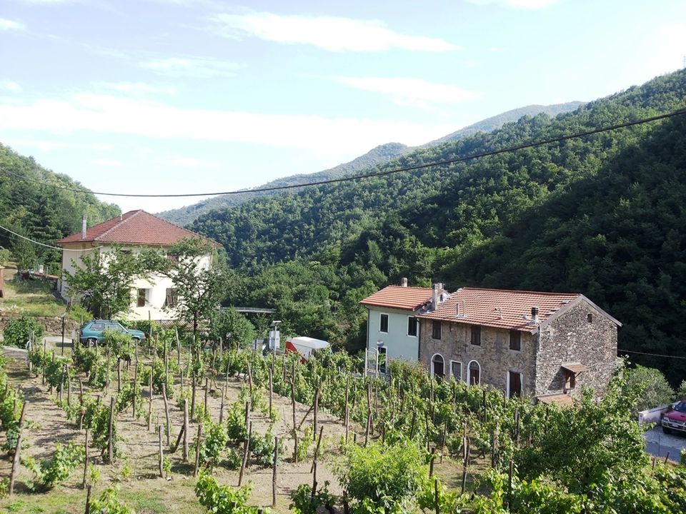 Villa i Badalucco, Imperia - foto 1