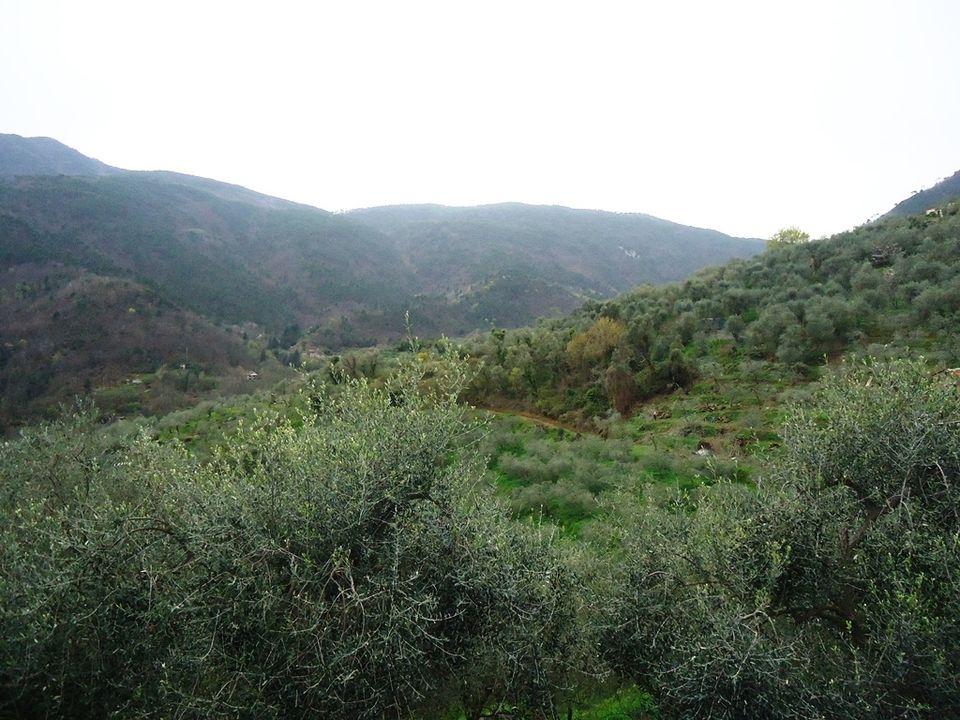 Villa i Ceriana, Imperia - foto 4
