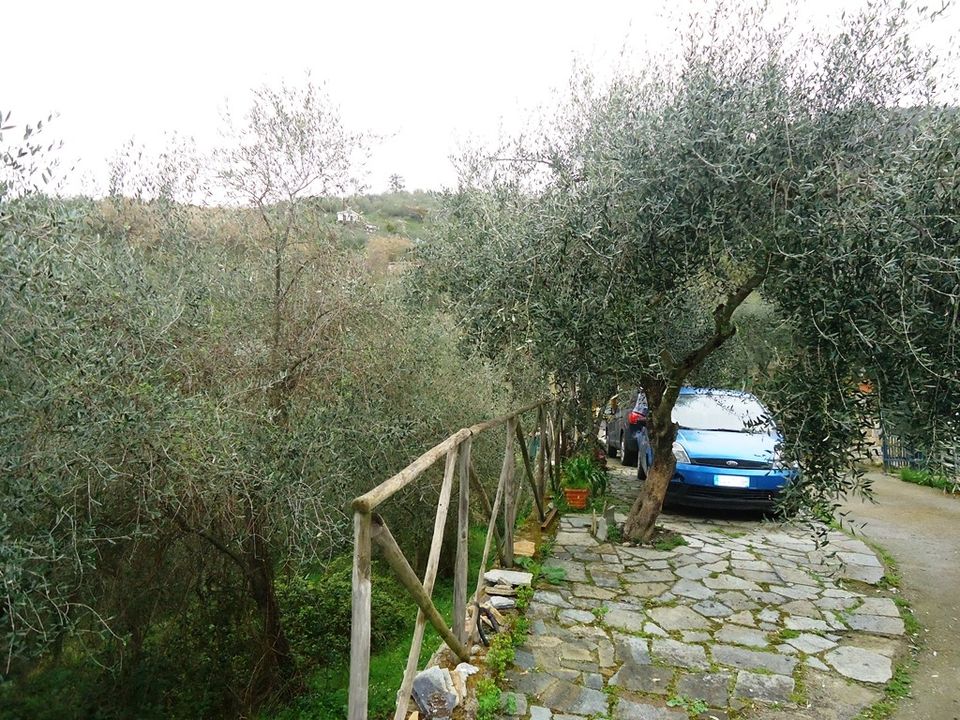 Villa i Ceriana, Imperia - foto 5