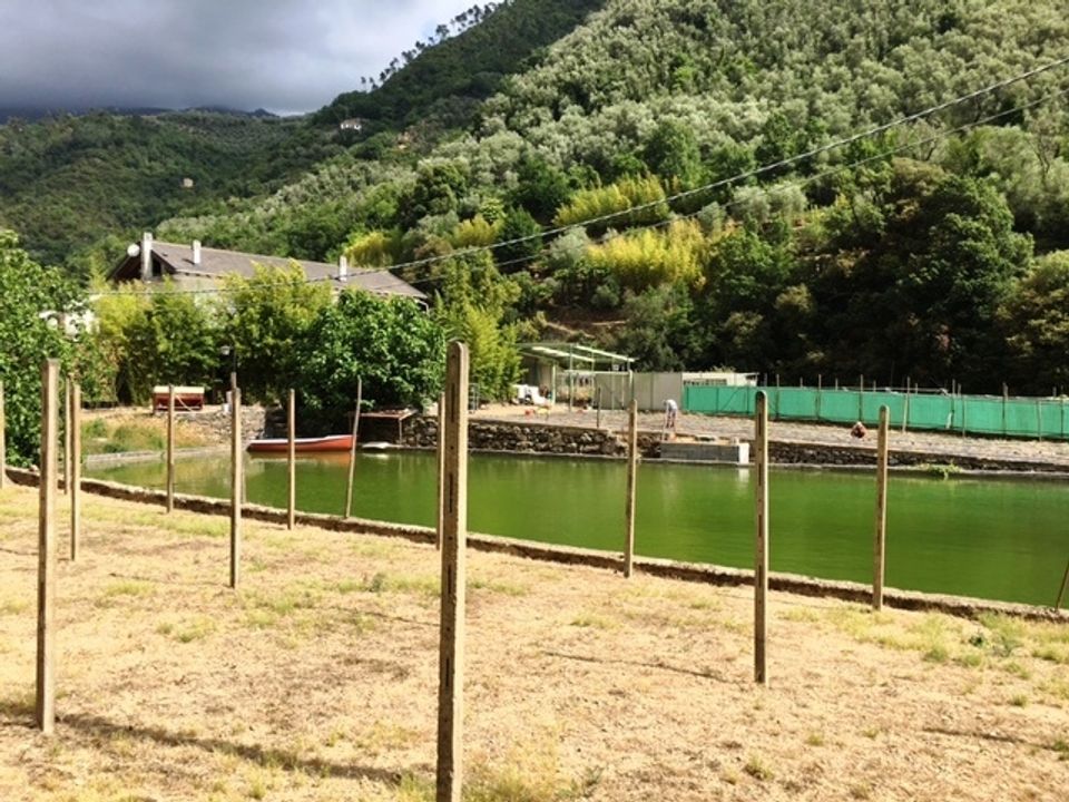 Villa i Taggia, Imperia - bilde 2