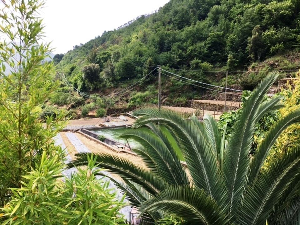Villa i Taggia, Imperia - bilde 4