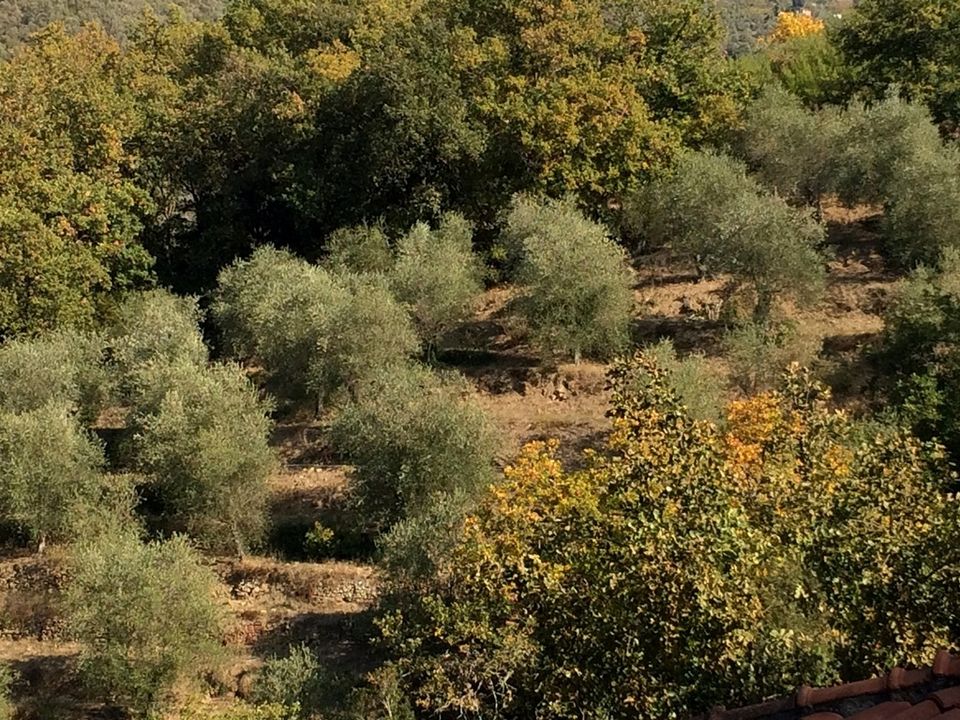 Villa i Perinaldo, Imperia - foto 4