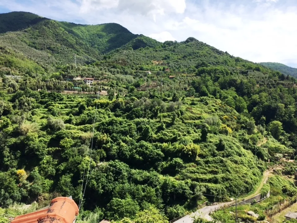 Lejlighed i Ceriana, Imperia - foto 2
