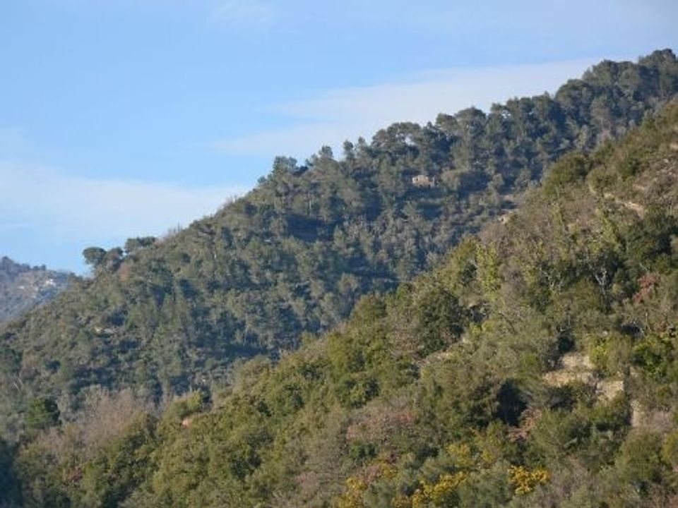 Lejlighed i Dolceacqua, Imperia - foto 3