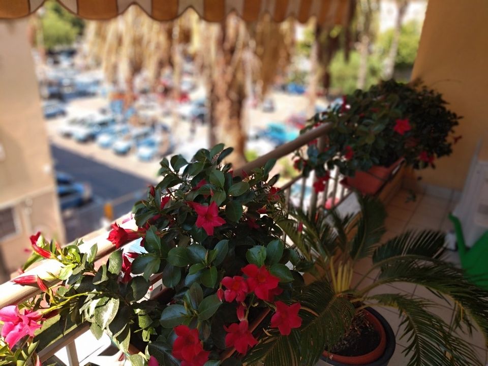 Lejlighed i Ventimiglia, Imperia - foto 5