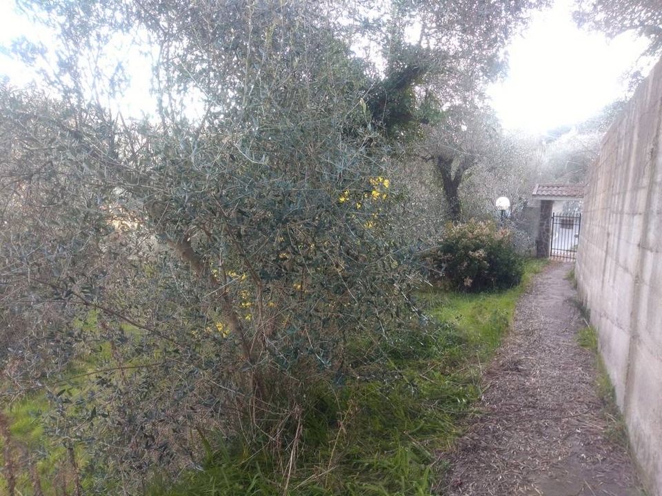 Villa i Apricale, Imperia - foto 2