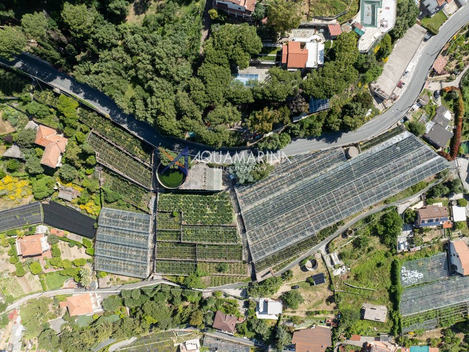 Helårsgrund i Sanremo, Imperia - foto 4