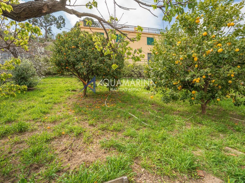 Villa i Sanremo, Imperia - foto 5