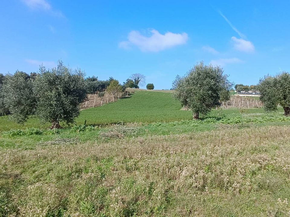 Helårsgrund i Macerata, Macerata - foto 2