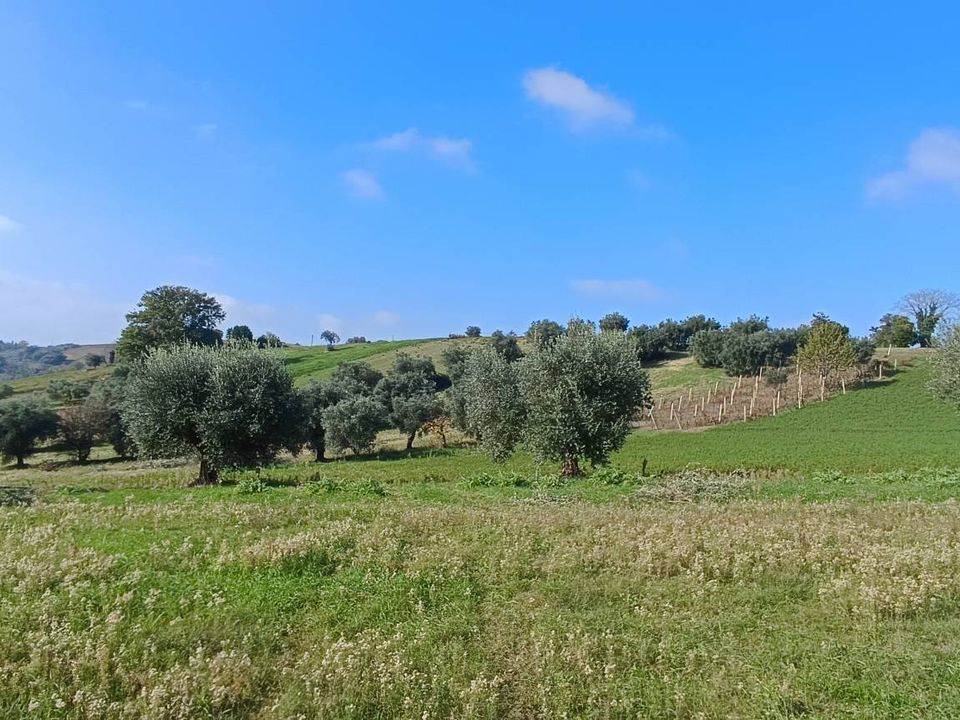 Helårsgrund i Macerata, Macerata - foto 3