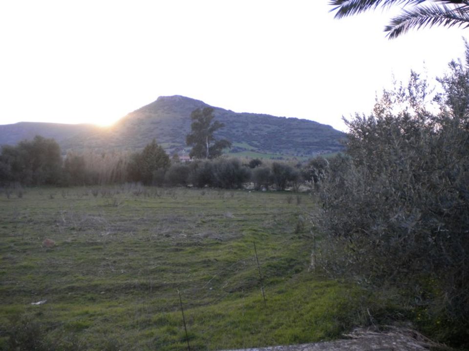 Helårsgrund i Nuxis, Sud Sardegna - foto 3