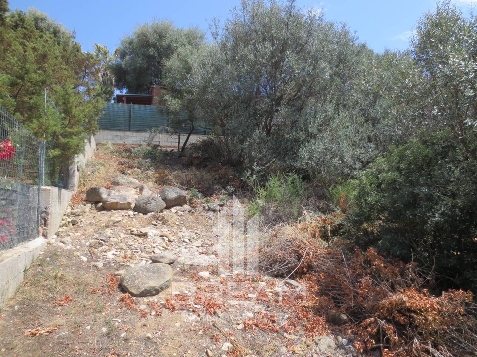 Tomt i Quartu Sant'Elena, Cagliari - bilde 4