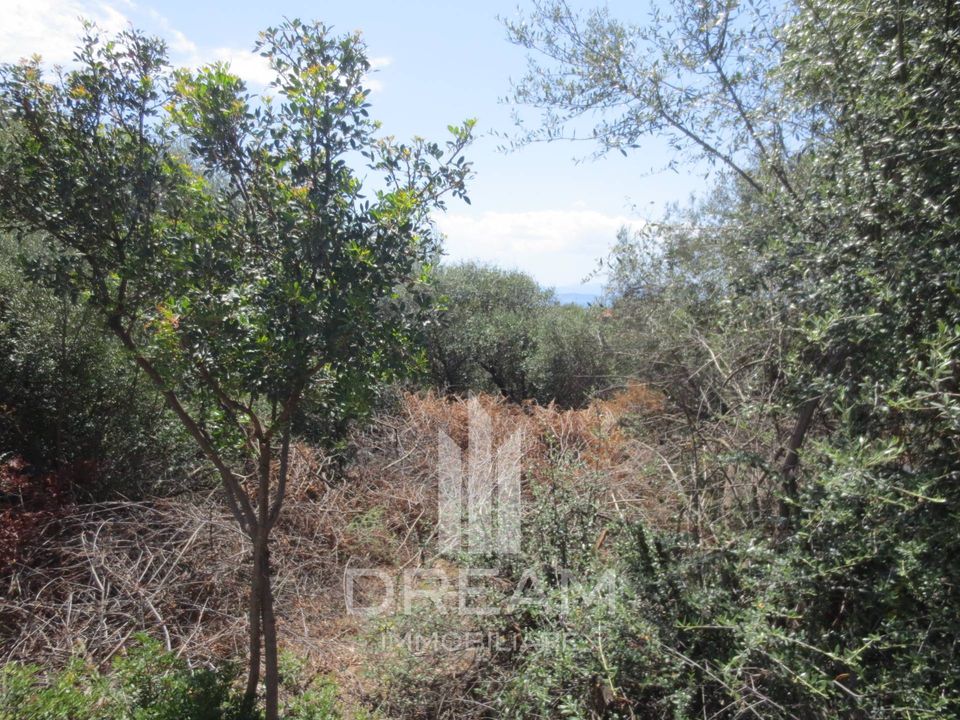 Tomt i Quartu Sant'Elena, Cagliari - bilde 5