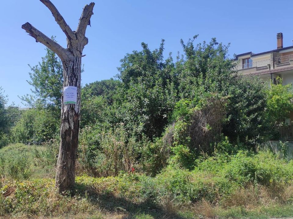 Helårsgrund i Caserta, Caserta - foto 3