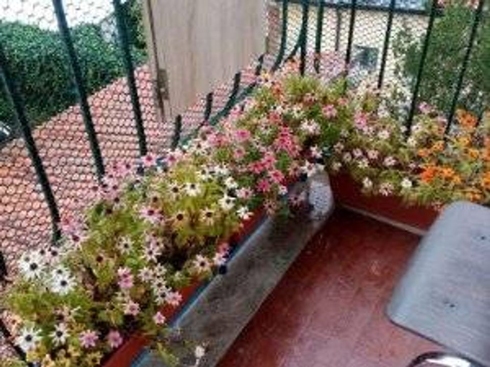 Lejlighed i Monfalcone, Gorizia - foto 2