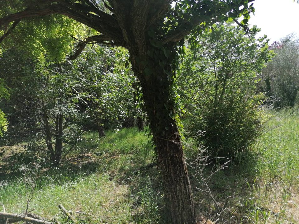 Herregård i Fossombrone, Pesaro and Urbino - bilde 5