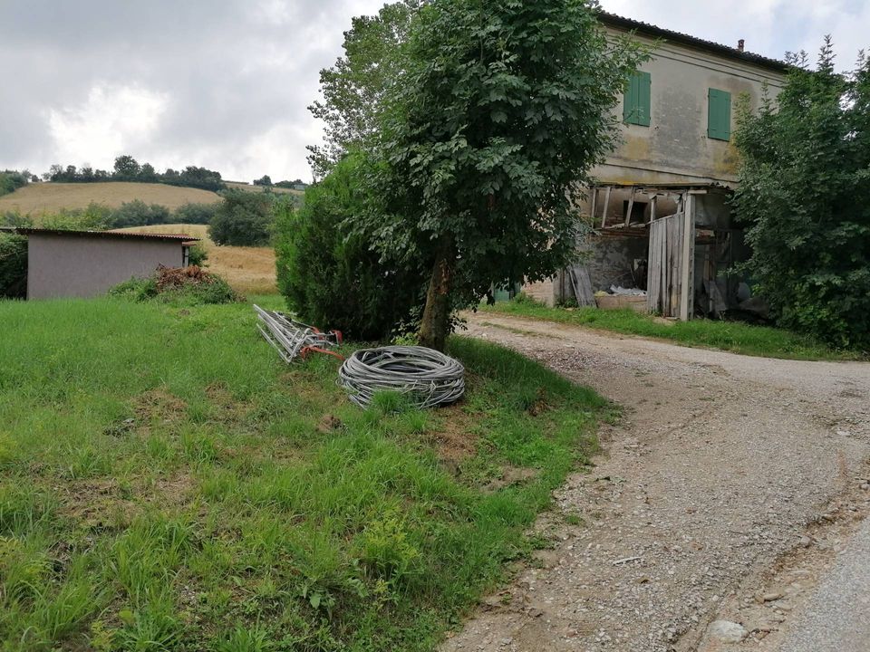 Landejendom i Colli al Metauro, Pesaro and Urbino - foto 2