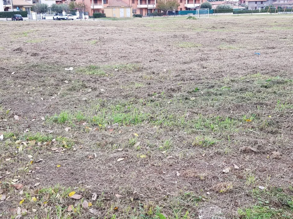 Terreno en Colli al Metauro, Pesaro and Urbino - foto 4