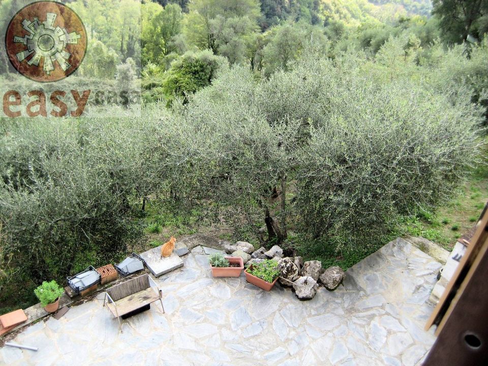 Landejendom i Camaiore, Lucca - foto 3