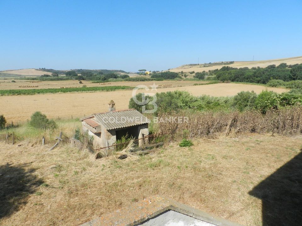 Herregård i Tarquinia, Viterbo - bilde 5