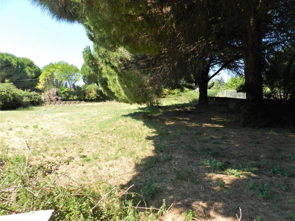 Tomt i Tarquinia, Viterbo - bilde 2