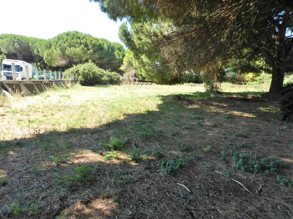 Tomt i Tarquinia, Viterbo - bilde 3