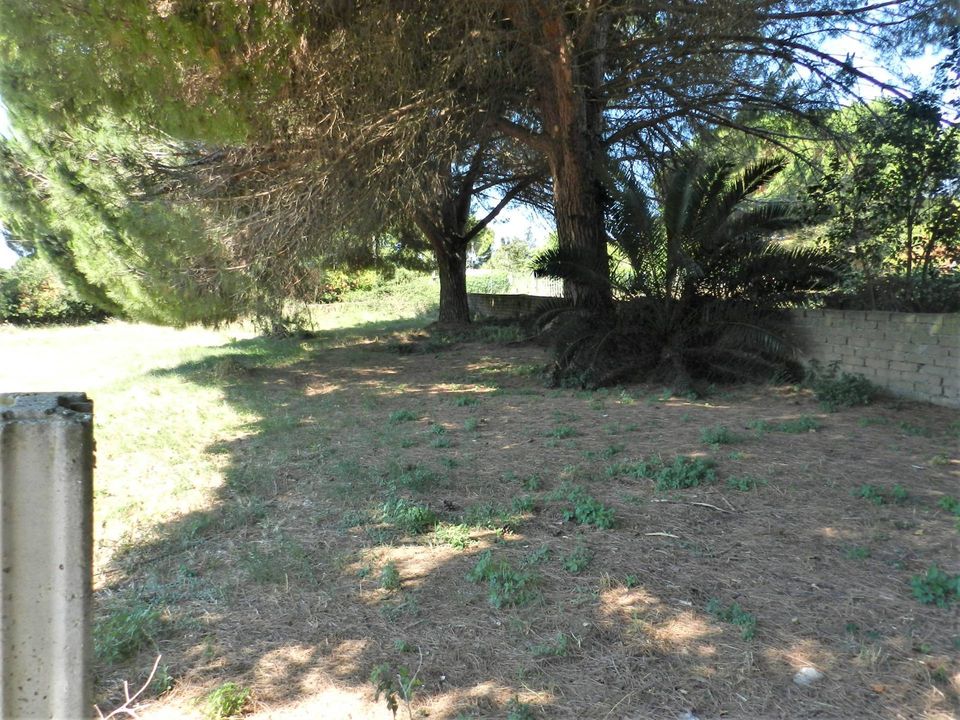 Tomt i Tarquinia, Viterbo - bilde 4