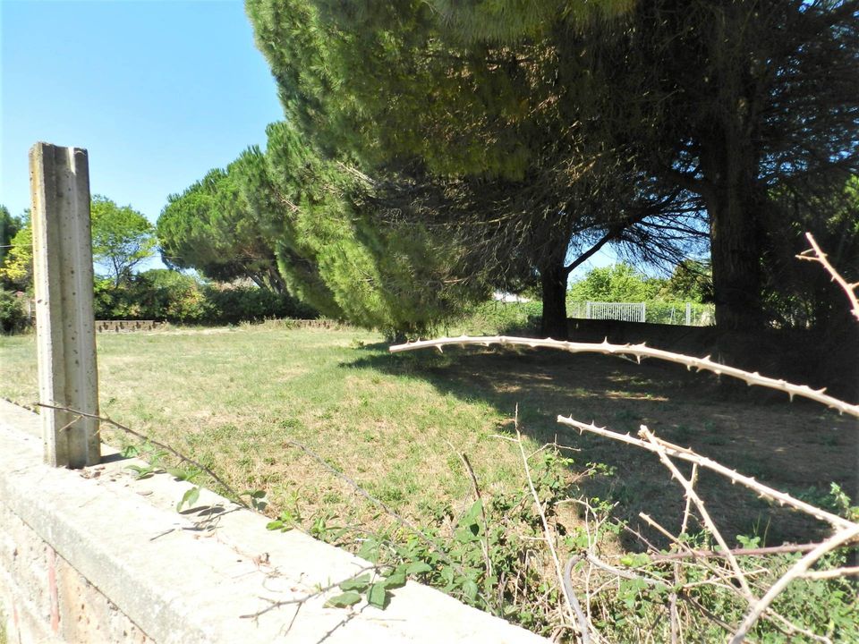 Tomt i Tarquinia, Viterbo - bilde 5
