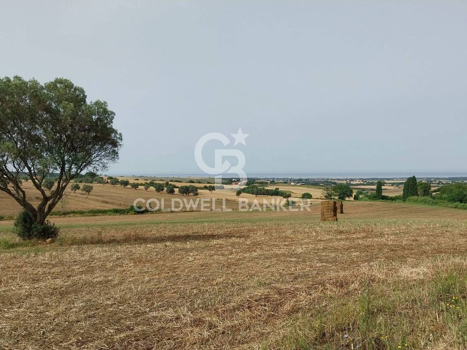 Landejendom i Tarquinia, Viterbo - foto 1