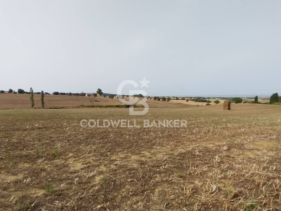 Landejendom i Tarquinia, Viterbo - foto 3