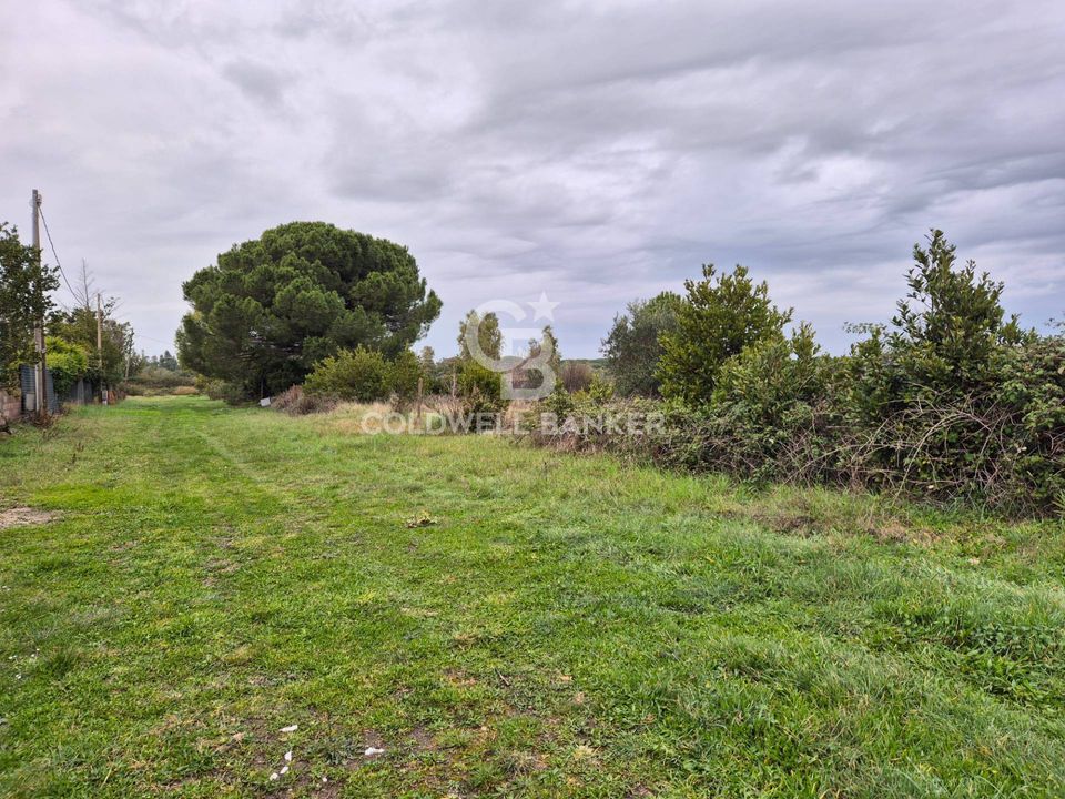 Helårsgrund i Tarquinia, Viterbo - foto 1