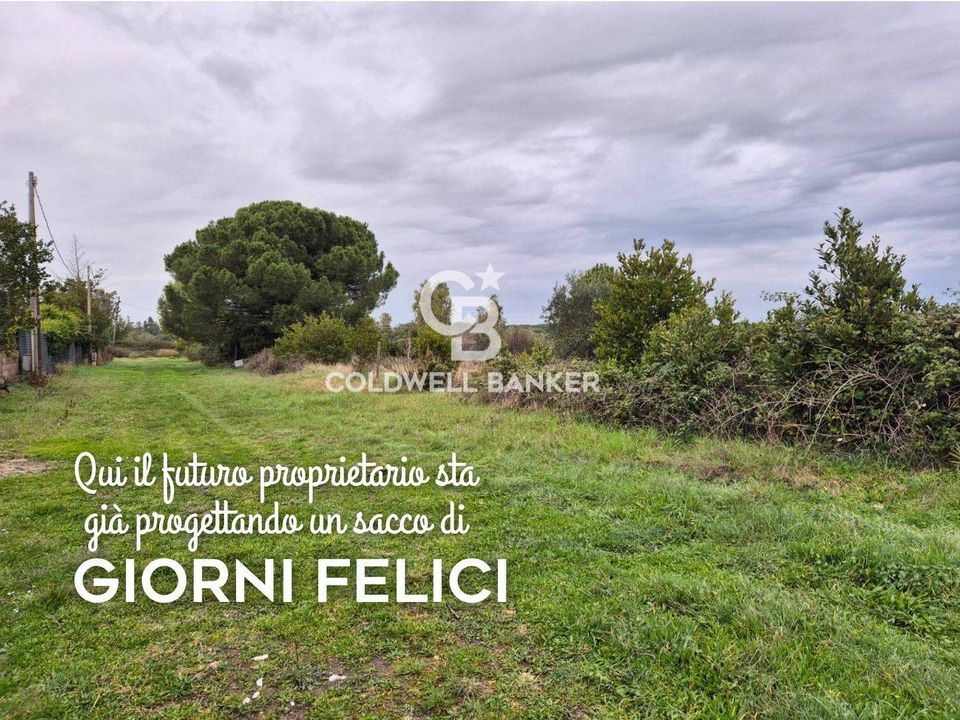 Tomt i Tarquinia, Viterbo - bilde 1
