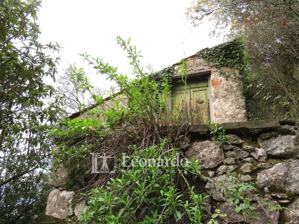 Helårsgrund i Camaiore, Lucca - foto 4